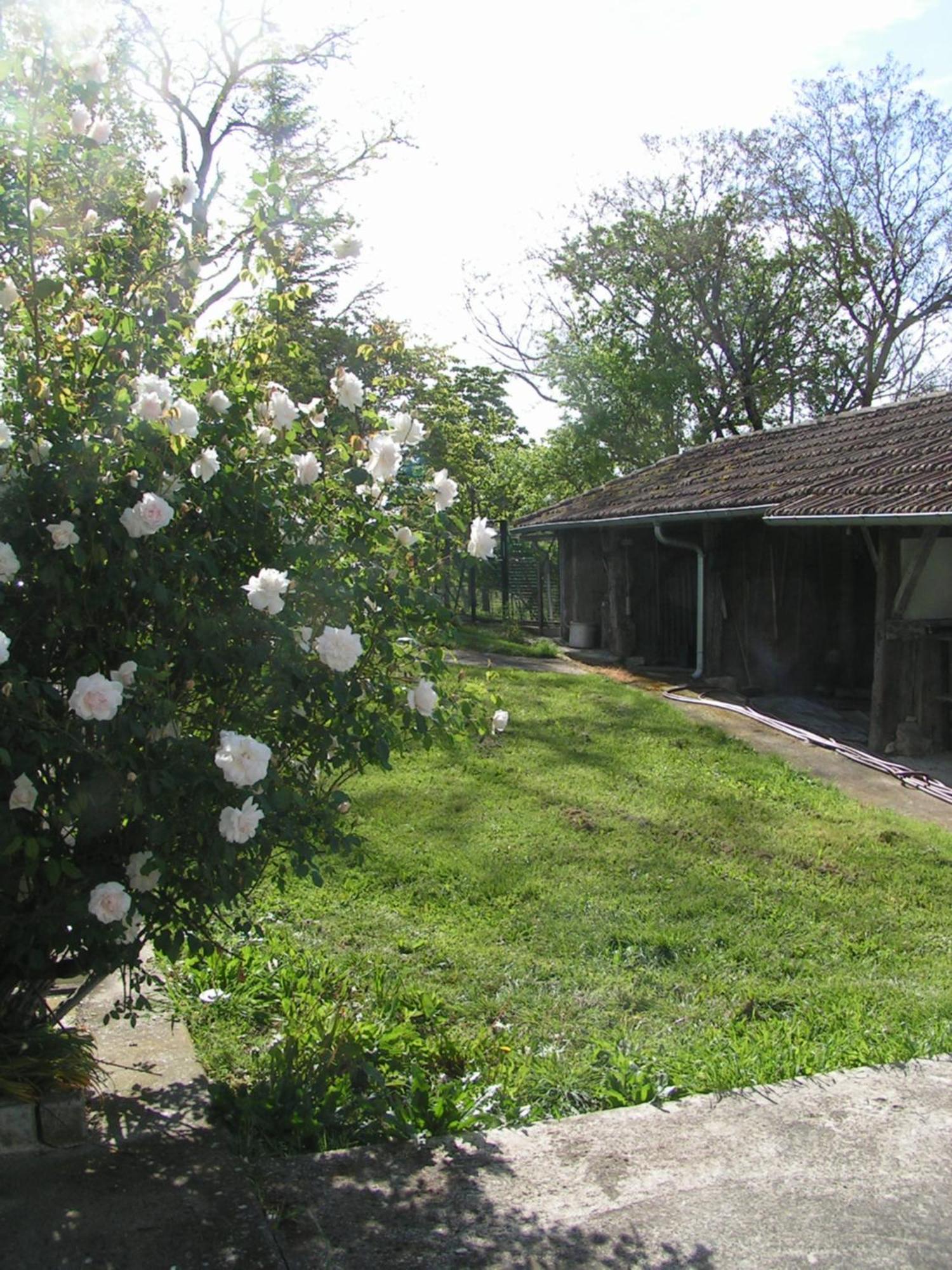 Au Milieu Des Champs Hotel Lectoure Luaran gambar